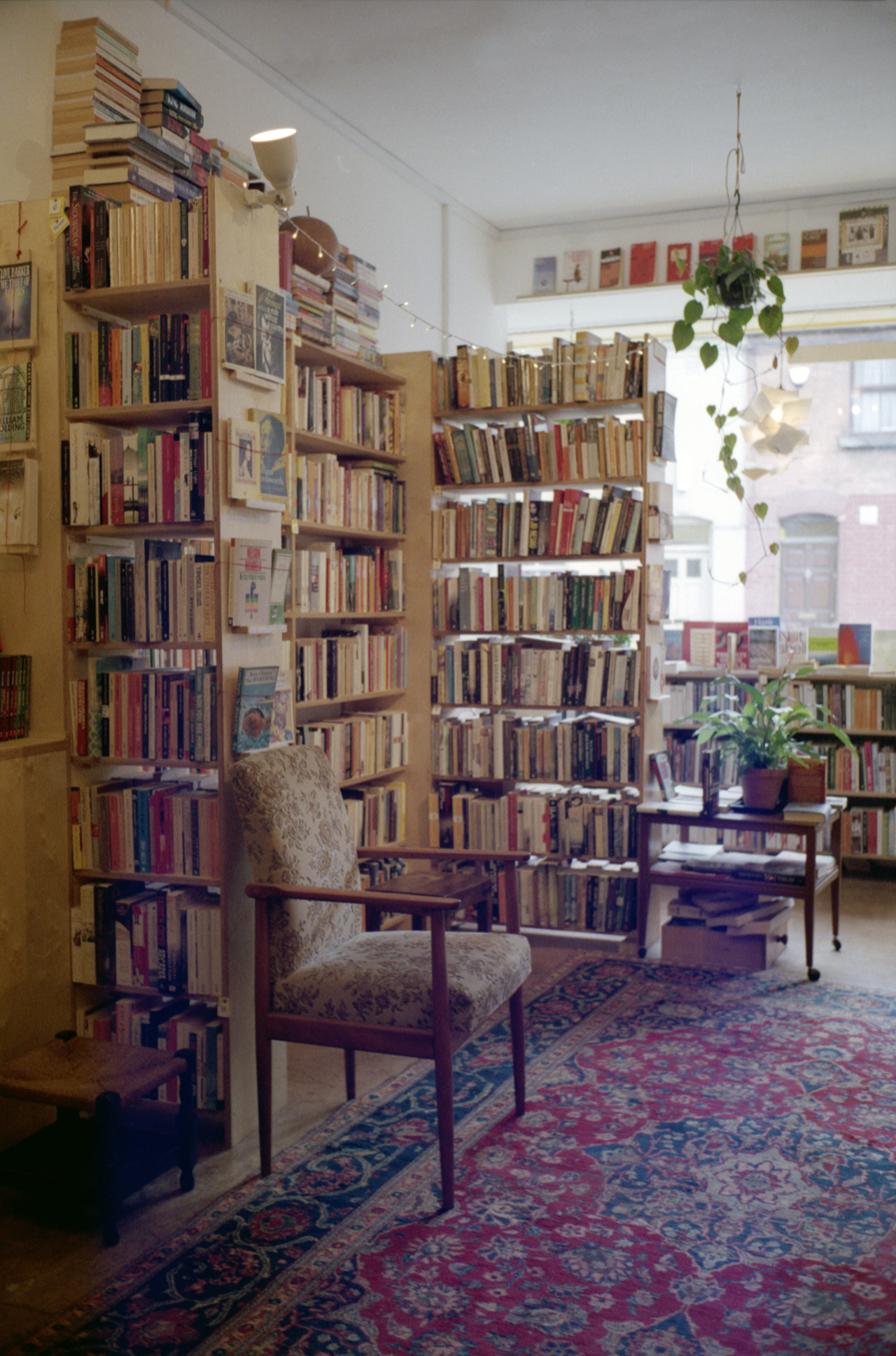 The bookshop